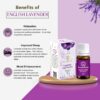 ASIAN AURA Diffuser Aroma Oils for Home Fragrance| Aromather...