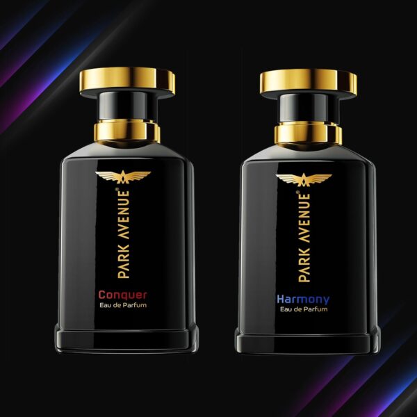 Park Avenue Gift Set For Men – Euphoria & Harmony – Eau De P...