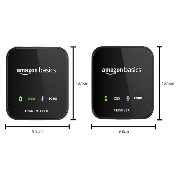 amazon basics Professional Wireless Microphone System for DS...