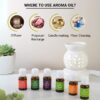 ASIAN AURA Diffuser Aroma Oils for Home Fragrance| Aromather...