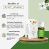 ASIAN AURA Diffuser Aroma Oils for Home Fragrance| Aromather...