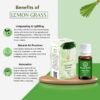 ASIAN AURA Diffuser Aroma Oils for Home Fragrance| Aromather...
