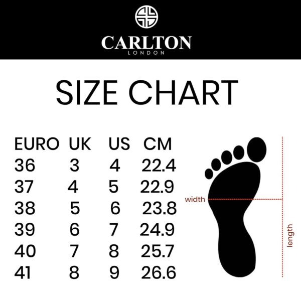 Carlton London Women Stylish Slipon Pump Shoes with Stiletto...