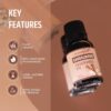 Aromahpure Fragrance Oil |30 ml|Pack of 2|Lavender, Sandalwo...