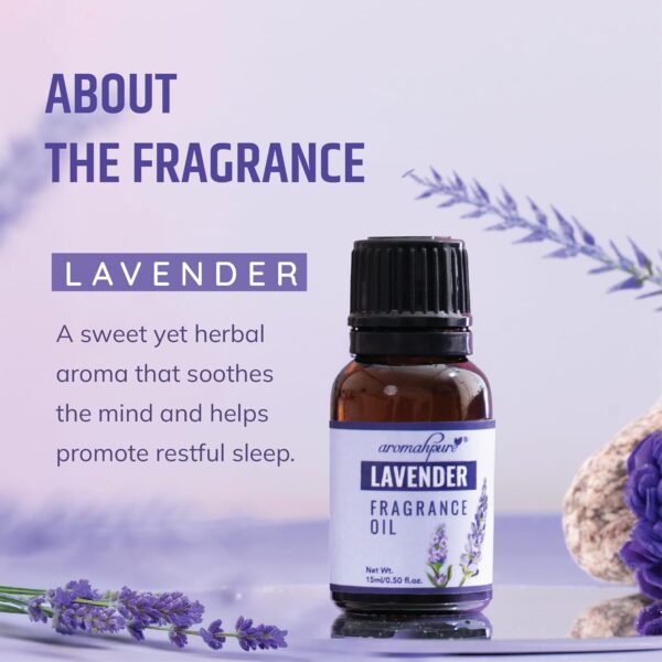 Aromahpure Fragrance Oil |30 ml|Pack of 2|Lavender, Sandalwo...