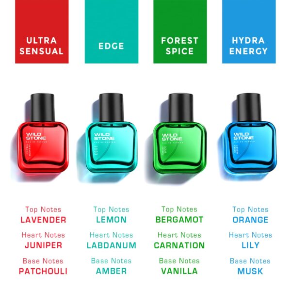 Wild Stone EAU DE Parfum Gift Set for Men, Pack of 4 (4x30ml...