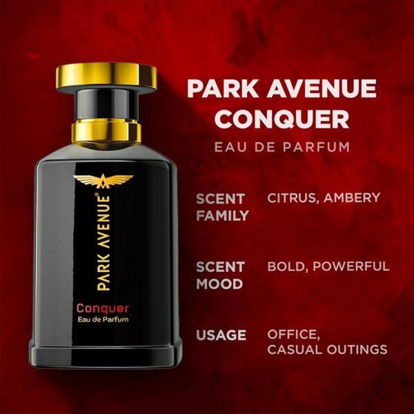 Park Avenue Gift Set For Men – Euphoria & Harmony – Eau De P...