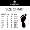 Carlton London Women Stylish Slipon Pump Shoes with Stiletto...