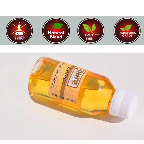 Pure Source India Natural 100ml Fragrance Oil for Diffusers,...