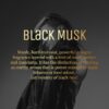 AIR-ROMA Black Musk Premium Car Perfume|Fine Fragrance Car A...