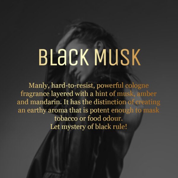 AIR-ROMA Black Musk Premium Car Perfume|Fine Fragrance Car A...