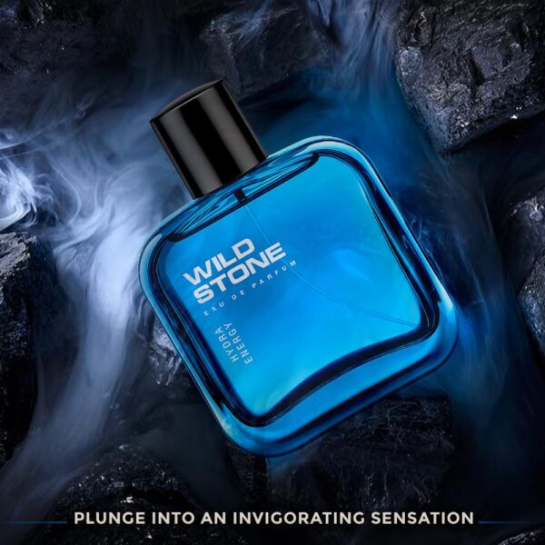 Wild Stone Hydra Energy Eau De Parfum for Men, 100ml | Long-...