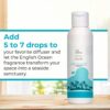 AIR-ROMA English Ocean Pure, Natural and Undiluted Aroma Dif...