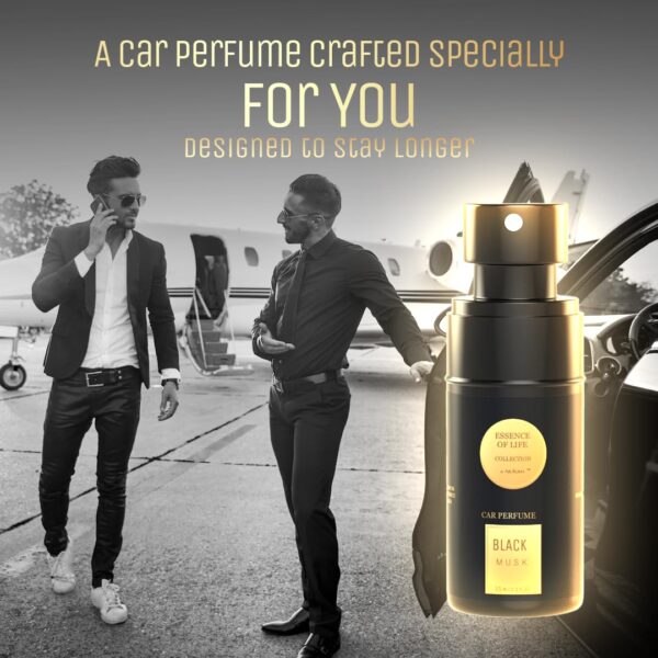 AIR-ROMA Black Musk Premium Car Perfume|Fine Fragrance Car A...