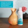 AIR-ROMA English Ocean Pure, Natural and Undiluted Aroma Dif...
