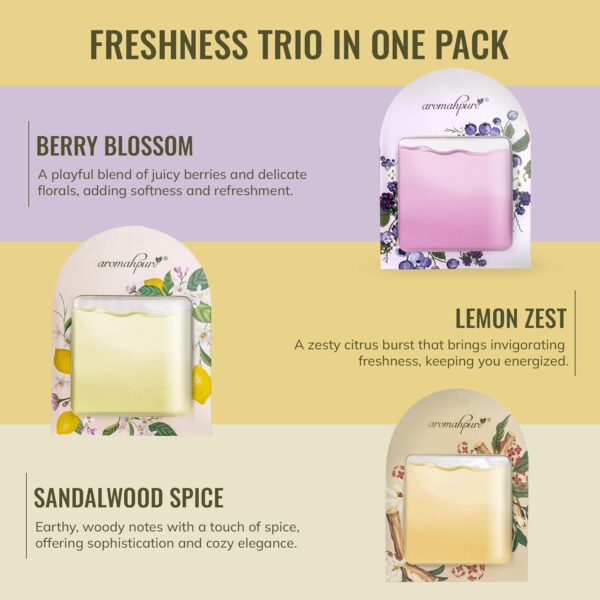 Aromahpure Gel Wink Hanging Car Perfume - Berry, Lemon, Sand...