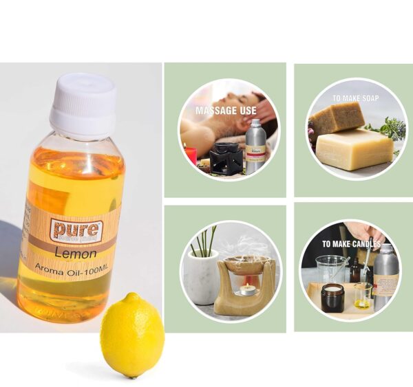 Pure Source India Natural 100ml Fragrance Oil for Diffusers,...