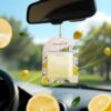 Aromahpure Gel Wink Hanging Car Perfume - Berry, Lemon, Sand...