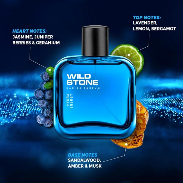 Wild Stone Hydra Energy Eau De Parfum for Men, 100ml | Long-...