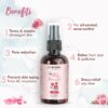 Nat Habit 100% Pure Gulab Jal - Rose Water - Toner, Face-Mis...