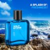 Wild Stone Hydra Energy Eau De Parfum for Men, 100ml | Long-...