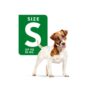 51-sKBWY5dL._SL1320_.jpg Royal Canin Mini Adult Dog Food, 85 Grams, Pack of 12 Sachet...