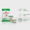 518uxgfhyaL._SL1080_.jpg Royal Canin Mini Adult Dog Food, 85 Grams, Pack of 12 Sachet...