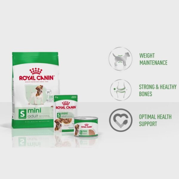 518uxgfhyaL._SL1080_.jpg Royal Canin Mini Adult Dog Food, 85 Grams, Pack of 12 Sachet...