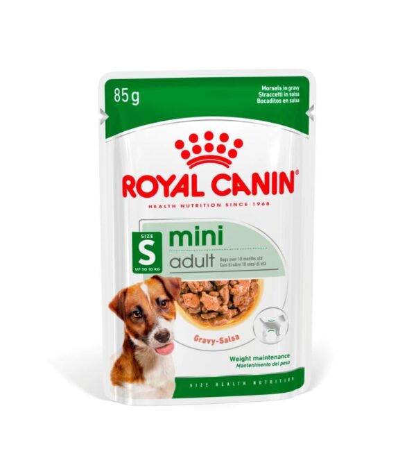 51BdgVgsBSL._SL1000_.jpg Royal Canin Mini Adult Dog Food, 85 Grams, Pack of 12 Sachet...