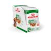 51s29Z1m2L._SL1000_.jpg Royal Canin Mini Adult Dog Food, 85 Grams, Pack of 12 Sachet...