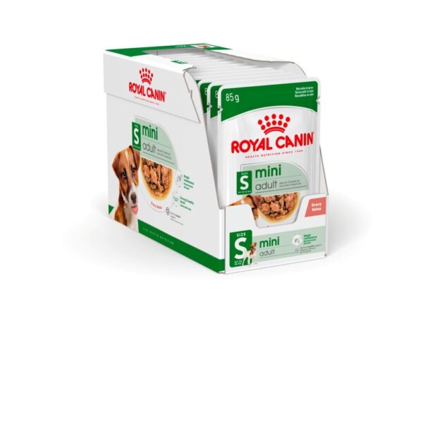 51s29Z1m2L._SL1000_.jpg Royal Canin Mini Adult Dog Food, 85 Grams, Pack of 12 Sachet...