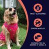 Bowlers Adult Wet Dog Food | Lamb in Gravy |80 GMS (Pack of ...