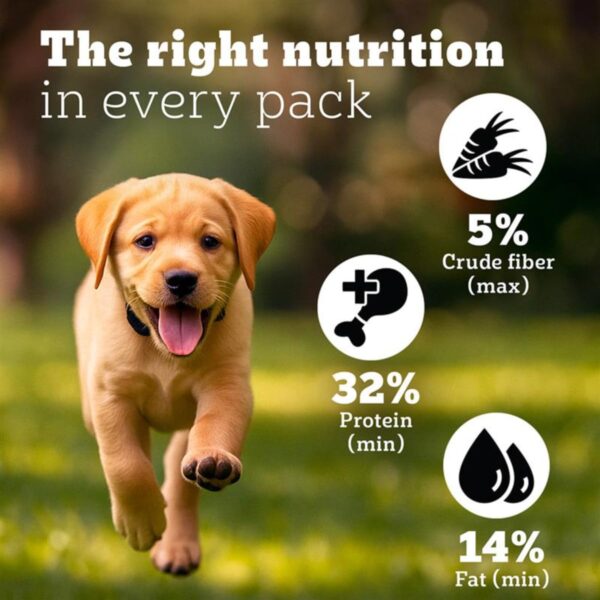 61ESByhiURL._SL1200_.jpg Pedigree PRO Puppy Large Breed, 3 kg Dry Dog Food, Vet Trust...