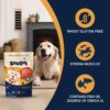 Bowlers Adult Wet Dog Food | Chicken Platter in Gravy |80 GM...