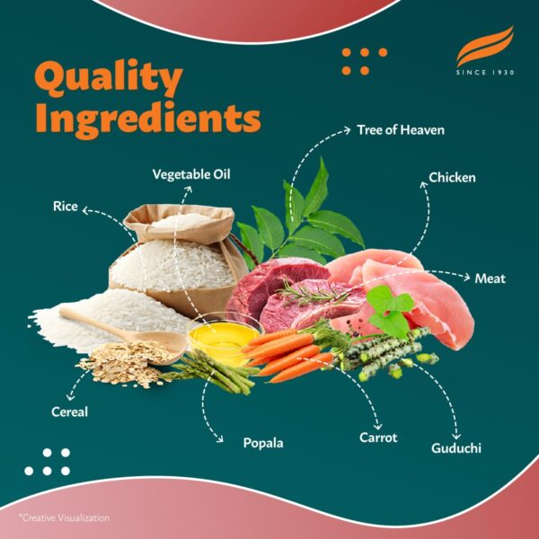 Himalaya Healthy PET Food for Adult Dogs | Meat & Rice | 1.2...