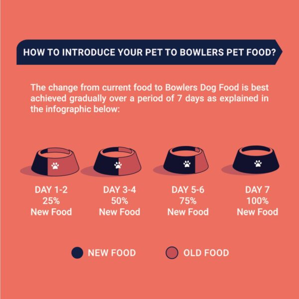 Bowlers Adult Wet Dog Food | Lamb in Gravy |80 GMS (Pack of ...