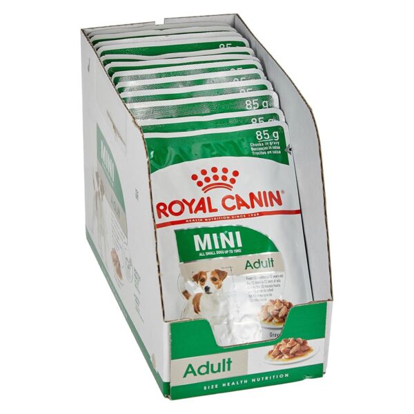 61YqTdDzTL._SL1200_.jpg Royal Canin Mini Adult Dog Food, 85 Grams, Pack of 12 Sachet...