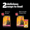 61dl6miW7cL._SL1200_.jpg Pedigree PRO Puppy Large Breed, 3 kg Dry Dog Food, Vet Trust...