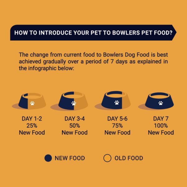 Bowlers Adult Wet Dog Food | Chicken Platter in Gravy |80 GM...