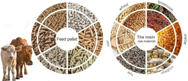 61iZGT69NL._SL1000_.jpg Global Green - Cattle Food for Fast Growth Calf & Buffalo 10...