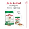 61jgsG8JnGL._SL1320_.jpg Royal Canin Mini Adult Dog Food, 85 Grams, Pack of 12 Sachet...