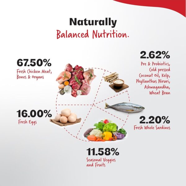 61lAbZ0YhiL._SL1500_.jpg Dry Dog Food - Ultimate Diet - Diet for Puppy with High Nutr...
