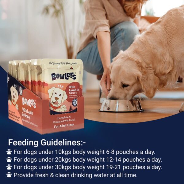 Bowlers Adult Wet Dog Food | Lamb in Gravy |80 GMS (Pack of ...