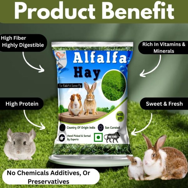 713WypLL42L._SL1500_.jpg Sage Square Alfalfa Hay - Protein, Calcium-Rich Hay for Rabb...