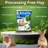 714DnZPD05L._SL1500_.jpg Sage Square Alfalfa Hay - Protein, Calcium-Rich Hay for Rabb...