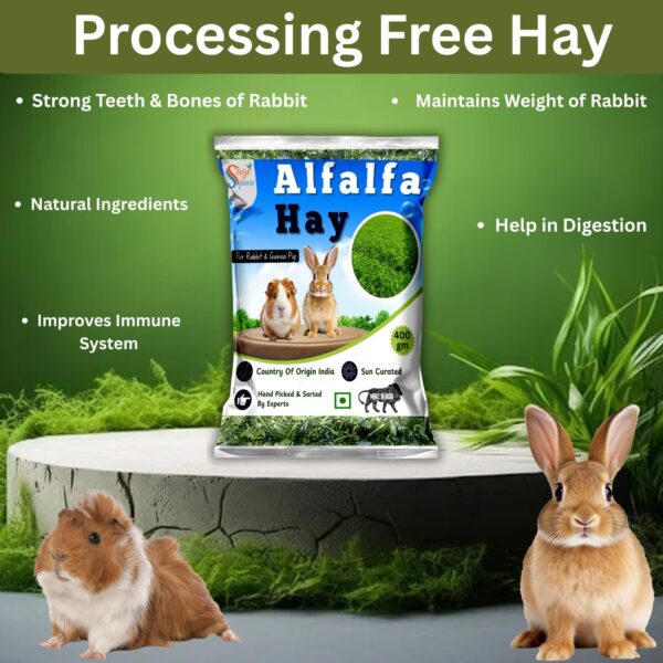 714DnZPD05L._SL1500_.jpg Sage Square Alfalfa Hay - Protein, Calcium-Rich Hay for Rabb...
