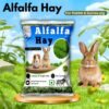 716CluXZA7L._SL1500_.jpg Sage Square Alfalfa Hay - Protein, Calcium-Rich Hay for Rabb...