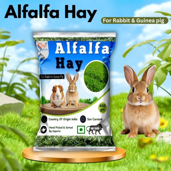 716CluXZA7L._SL1500_.jpg Sage Square Alfalfa Hay - Protein, Calcium-Rich Hay for Rabb...
