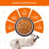 716Mn2j71KL._SL1500_.jpg Amazon Basics Dry Dog Food | 5 Kg | Chicken & Rice | with Re...