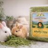 716RrTSwhsL._SL1500_.jpg 1kg Premium Alfalfa Hay for Rabbits and Guinea Pigs, Fresh G...
